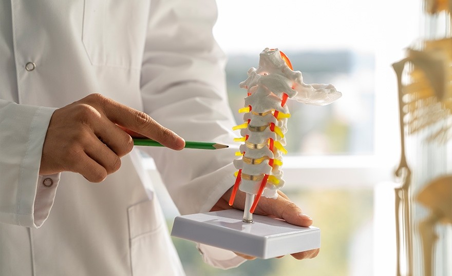 Остеопороз: болезнь, о которой нельзя молчать - Новости